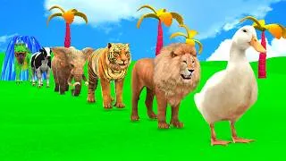 Thumbnail: Long Slide Game with Dinosaur Lion Cow Hippopotamus Gorilla 3d Animal Game Funny 3d Animals