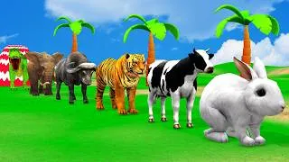 Thumbnail: Long Slide Game with Dinosaur Lion Cow Hippopotamus Gorilla 3d Animal Game Funny 3d Animals