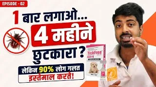 Thumbnail: How to use spot-on to remove ticks from the dog? Get better result. 