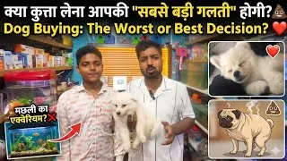 Thumbnail: Don't Buy Your First Dog Until You Watch This! 🚫🐶