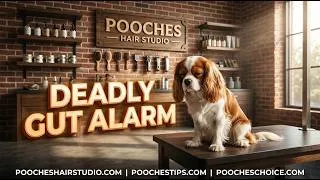 Thumbnail: 7 Critical Dog Acute Enteritis Symptoms: A Midnight ER Survival Guide