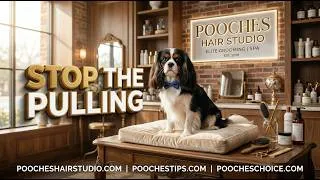 Thumbnail: Best professional dog clippers for thick coats
