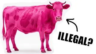 Thumbnail: Trying to Order a Pink Cow From AI! What Happens?!