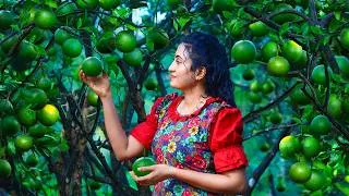 Thumbnail: Sweet Orange Vibes! 🍊 Sweet Recipes From Garden To Table!
