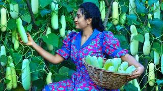 Thumbnail: Farm Fresh Cucumbers ! 🥒 Creamy Salad, Cool Drinks & Detox Water For Healthy Skin!