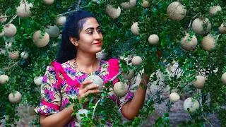 Thumbnail: Wood Apple Delights! 🍈 That Sour & Sticky Pulp To Jam, Ice Packets, Tasty Masala & more!