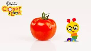 Thumbnail: Closer Look: The Letter T | Baby Einstein: Closer Look | Episode 20 | Pop Babies