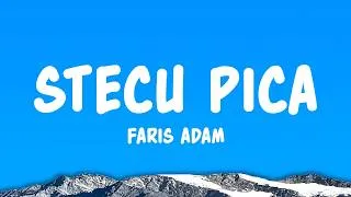 Thumbnail: Faris Adam - Stecu Pica (Lyrics)