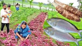 Thumbnail: শোলাকচু দিয়ে ইলিশ মাছের ঝোল রান্না,মুখে লেগে থাকবে এর স্বাদ সাথে ইলিশ ভাপা আর লালশাক ভাজা