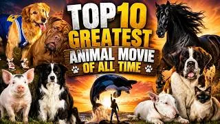 Thumbnail: Top 10 Greatest Animal Movies | Full Movie