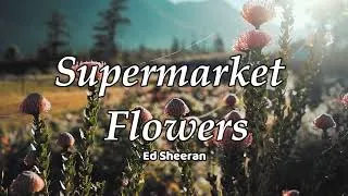 Thumbnail: Supermarket Flowers - Ed Sheeran Lyrics