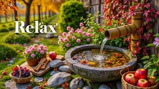 Thumbnail: Healing Music for Sleep Meditation 🌿 Calming Piano Music for Stress Relief  Deep Healing + Relax