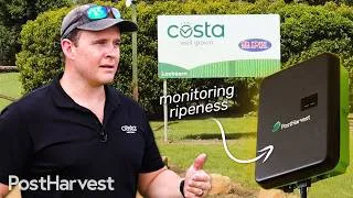 Thumbnail: How Atmos is Changing the Citrus Industry in Australia