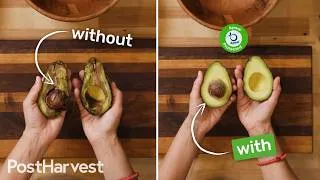 Thumbnail: The Invisible Layer Preserving Your Fruit!