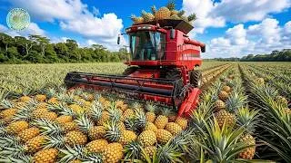 Thumbnail: How American Farmers Grow and Harvest Millions of Pineapples | Inside Pineapple Farming