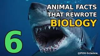 Thumbnail: 6 Apex Animal Facts That REWROTE Biology — Best of POV-Science