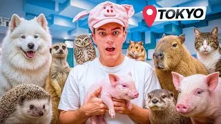 Thumbnail: I Visited Every Pet Cafe in TOKYO Japan