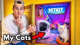 Thumbnail: I Built a Secret Room for My Cats | PetkitPurobot