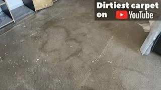 Thumbnail: Nobody Ever Took Their Shoes Off in This Room… and It Shows