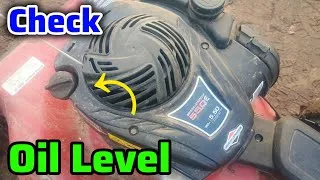 Thumbnail: How to Check the Oil Level on a Briggs & Stratton Push Mower Engine