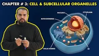 Thumbnail: Class 11 Chapter # 3: Cell and Subcellular Organelles (One Shot Lecture)