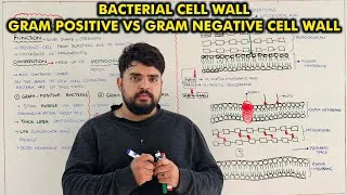 Thumbnail: Bacterial Cell Wall | Structure & Functions | Class 11 Biology Chapter 2 | Punjab Board
