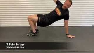 Thumbnail: 3 Point Bridge