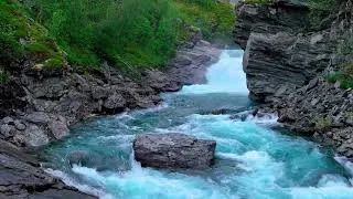 Thumbnail: Tchaikovsky & Chopin 🎼 Beautiful Classical Music for Relaxation, Focus & Sleep