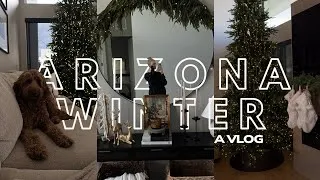 Thumbnail: cozy christmas decorating: viral christmas tree, homegoods finds, & so much more