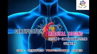 Thumbnail: #CPC #Certification #Training #Cardiovascular #system | #30000 series | by PPMP Creative System