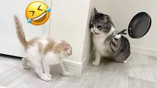 Thumbnail: Try Not To Laugh 😅 Funniest Cats and Dogs 😹 Funny Animals 2026 #6