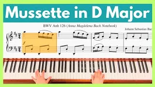 Thumbnail: Mussette in D Major BWV Anh. 126 // Notebook of Anna Magdalena Bach // JS BACH