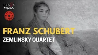 Thumbnail: Franz Schubert: The First String Quartets (Nos. 1​-​12) - Zemlinsky Quartet (2021 Remastered)