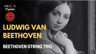 Thumbnail: Beethoven: String Trios Op. 8, Op. 9 No. 1 & Op. 9 No. 3 - Beethoven String Trio (2022 Remastered)