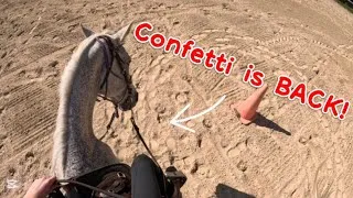 Thumbnail: Confetti and outdoor riding are BACK!!! | GoPro horse riding vlog
