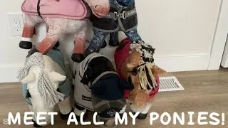 Thumbnail: MEET ALL MY PONIES!