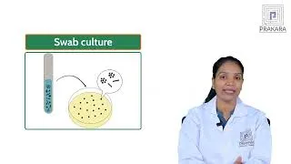 Thumbnail: Puerperal Pyrexia Explained || Postpartum Care for BSc Nursing Students