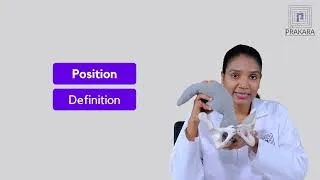 Thumbnail: Second Stage of Labor - Mechanism Explained || Midwifery Essentials for BSc Nursing Students
