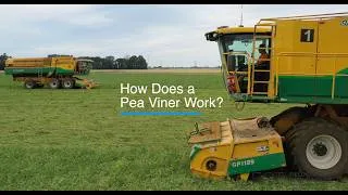 Thumbnail: How does a Pea Viner Work?