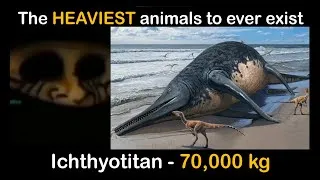 Thumbnail: The HEAVIEST animals to ever exist | Mr incredible becoming uncanny