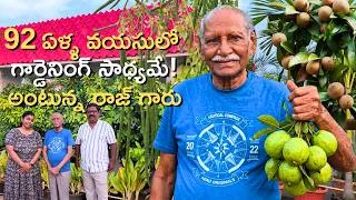 Thumbnail: 92 years gardener 🙏🏼 Beautiful terrace garden #premasgarden  #terracegarden