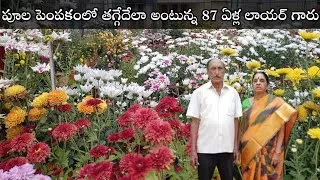 Thumbnail: చామంతుల మిద్దె తోట  #chrysanthemums Garden  |ENG SUB | #premasgarden  