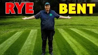 Thumbnail: ULTIMATE GRASS SHOWDOWN: Ornamental vs. Hard-Wearing Lawn Test
