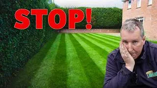 Thumbnail: If You Do This It Will WRECK Your Lawn! Mulching Clippings