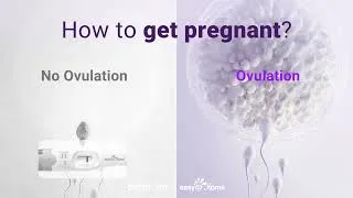 Thumbnail: Predict the ovulation day and fertile days with the Premom app