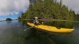 Thumbnail: Kayaking Tofino: Timeless Wonders of Ancient Forests and Majestic Islands