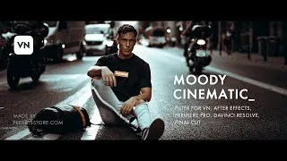 Thumbnail: Professional Moody Cinematic LUT for VN | Premier Pro | DaVinci Resolve | Download Free