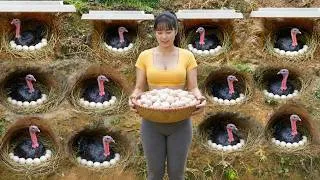 Thumbnail: [ TIMELAPSE ] She Collected Fresh Turkey Eggs From the Countryside Farm