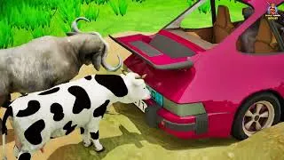 Thumbnail: 3 Giant Elephant Cow Vs 3 Hybrid Tiger Indian Bison Vs 5 Giant Lion Bull Cow Saved By Woolly Mammoth