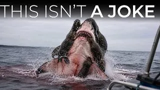 Thumbnail: Canada Released 89 Predators Into the Pacific — Scientists Never Expected What They Would Do